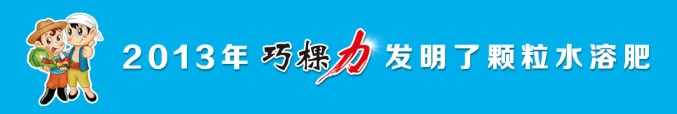 1723508229499695.png 微信截圖_20240813081613.png