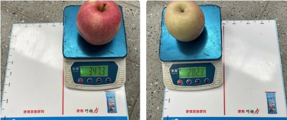 1723528092919062.png 微信截圖_20240813134717.png